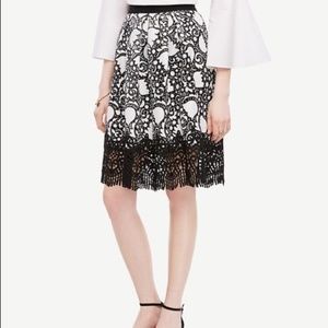 Ann Taylor Tulip Lace Skirt 🌷